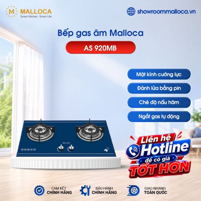 Bếp gas Malloca AS 920MB