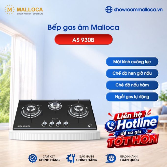 Bếp gas Malloca AS 930B