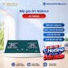 Bếp gas âm 2 vùng nấu Malloca AS 9402G / màu xanh 1 AS 9402G