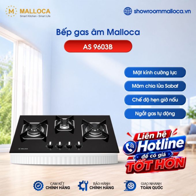 Bếp gas 3 âm Malloca AS 9603B