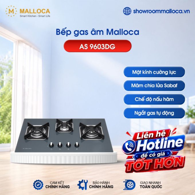 Bếp gas 3 âm Malloca AS 9603DG