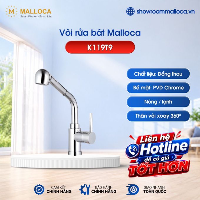Vòi rửa bát nóng lạnh Malloca K119T9