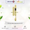 Khoa cua dai sanh – biet thu Demax SL886 Gold App Wifi
