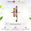Khóa cửa điện từ Demax SL821 cho đại sảnh - biệt thự 2 Khoa cua dien tu Demax SL821 cho dai sanh – biet thu