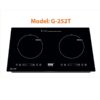 Bếp từ Giovani G-252T 2 bep tu giovani 252t