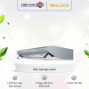 Máy hút khói khử mùi Malloca H523 1 may hut khoi khu mui malloca h523 optimized