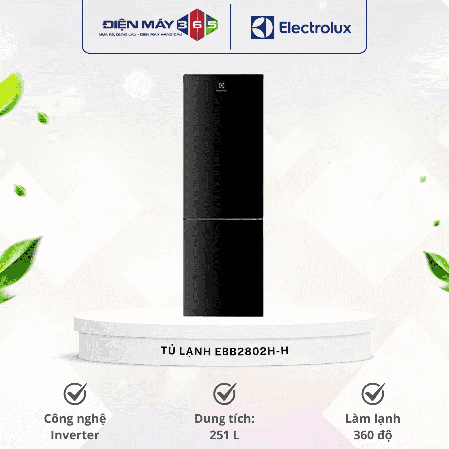 Tủ lạnh Electrolux EBB2802H-H 3 Tủ lạnh Electrolux EBB2802H-H