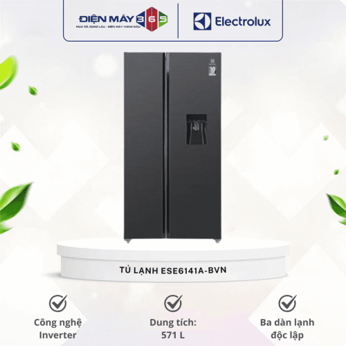 Tủ lạnh Electrolux ESE6141A-BVN