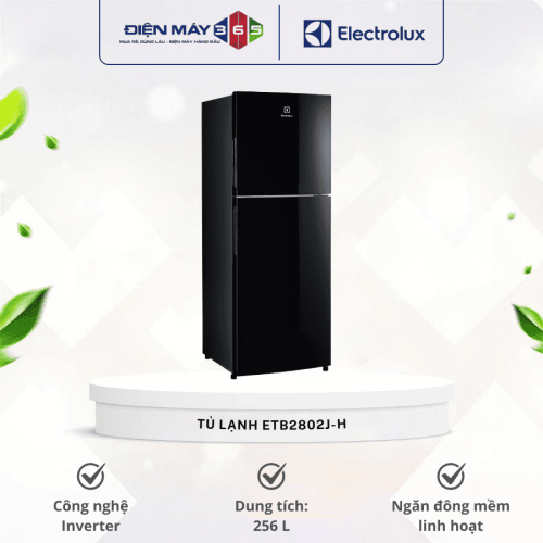 Tủ lạnh Electrolux ETB2802J-H