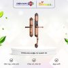 Khoa cua dien tu Demax SL821 AC cho dai sanh – biet thu