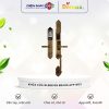 Khoa cua dai sanh – biet thu Demax SL988 GB Brass App Wifi