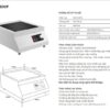 Bếp từ công nghiệp Kocher CI-3600F 2 0