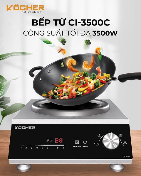 Bếp từ công nghiệp Kocher CI-3500C 9 Bếp từ công nghiệp Kocher CI-3500C - Ảnh 7