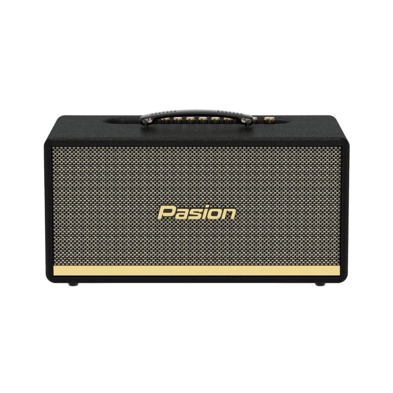 Loa Di Động Xách Tay Paramax PASION 2 3 Ảnh Loa Di Động Xách Tay Paramax PASION 2