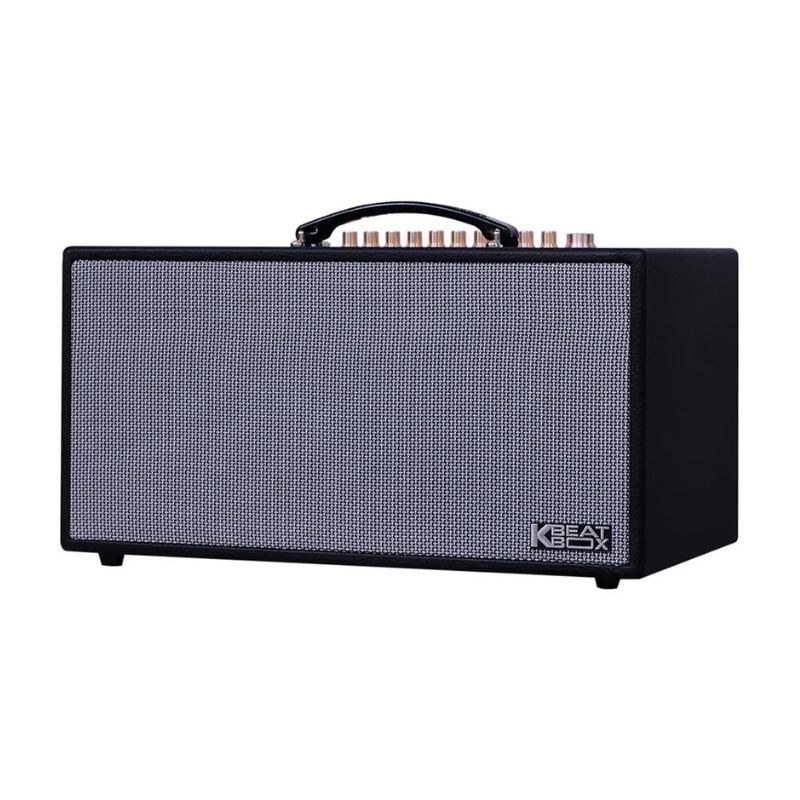 Loa Karaoke Xách Tay Acnos CS450SR 4 Ảnh Loa Karaoke Xách Tay Acnos CS450SR