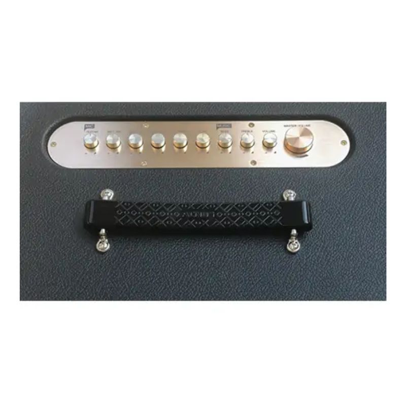 Dàn Âm Thanh Di Động Acnos CS450 5 Hình ảnh Dàn Âm Thanh Di Động Acnos CS450
