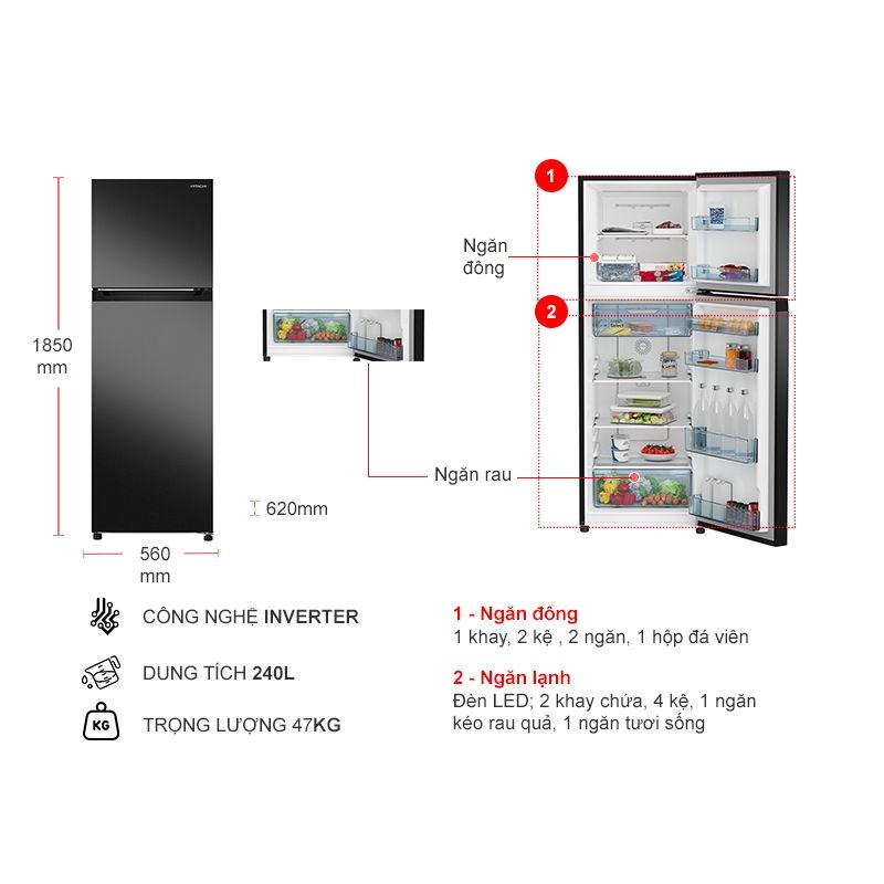 Tủ Lạnh 2 cánh Inverter 240 Lít Hitachi HRTN5255MFUVN 5 Kích thước tủ Lạnh 2 cánh Inverter 240 Lít Hitachi HRTN5255MFUVN