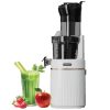 Máy ép chậm Simplehome SJ-022 1 Máy ép chậm Simplehome SJ-022