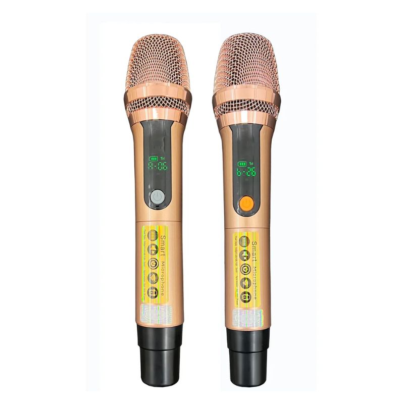 Loa Xách Tay Bossinon N3379K 6 Micro Loa Xách Tay Bossinon N3379K