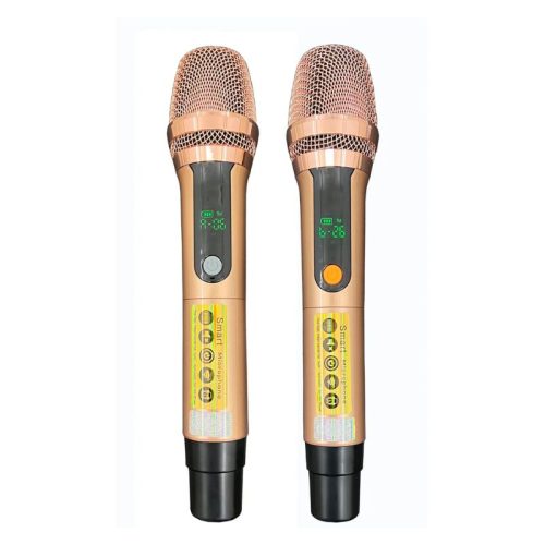 Loa Xách Tay Bossinon N3383K 8 Micro Loa Xách Tay Bossinon N3383K