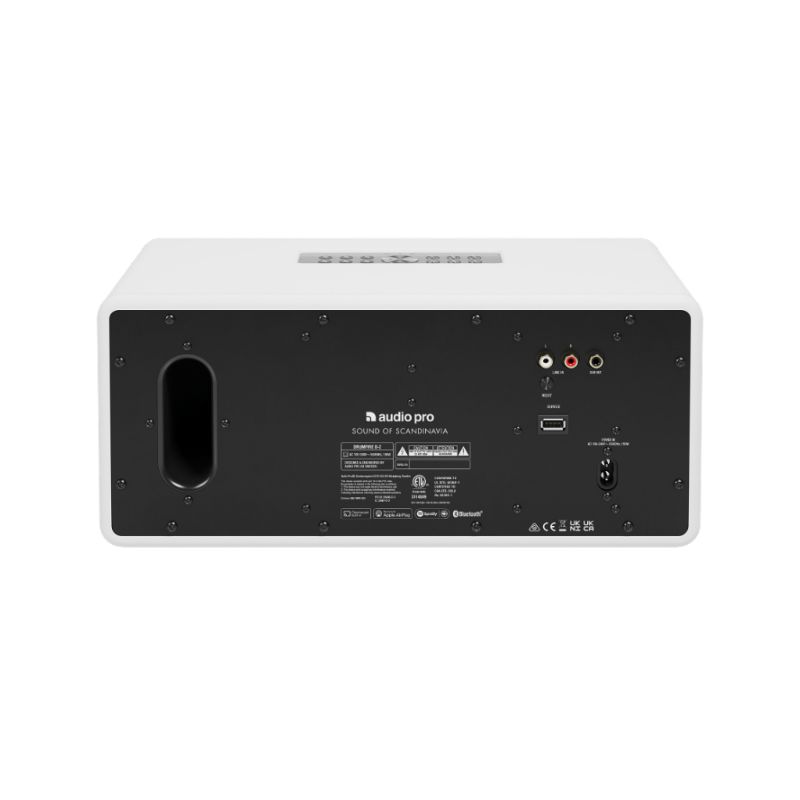 Loa Audio Pro D-2 4 Ảnh loa Audio Pro D-2