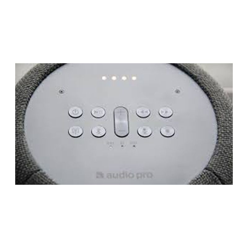 Loa Audio Pro G10 4 Ảnh loa Audio Pro G10