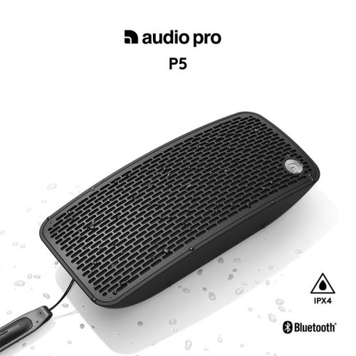 Loa Audio Pro P5 5 Ảnh loa Audio Pro P5