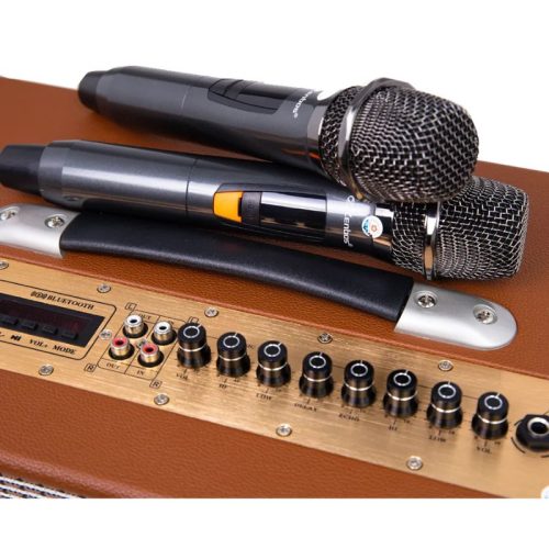 Loa Karaoke Xách Tay Zenbos P-300 6 Micro Loa Karaoke Xách Tay Zenbos P-300