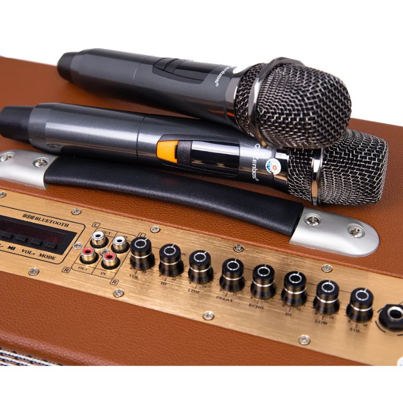 Loa Karaoke Xách Tay Zenbos P-300 3 Micro Loa Karaoke Xách Tay Zenbos P-300