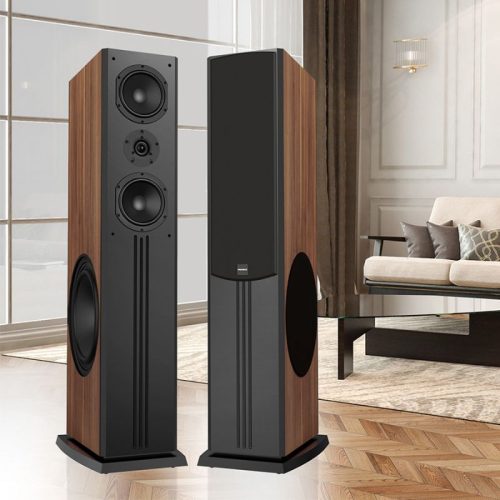 Loa Đứng Paramax D88 Limited (Walnut) 7 Ảnh Loa Đứng Paramax D88 Limited (Walnut)