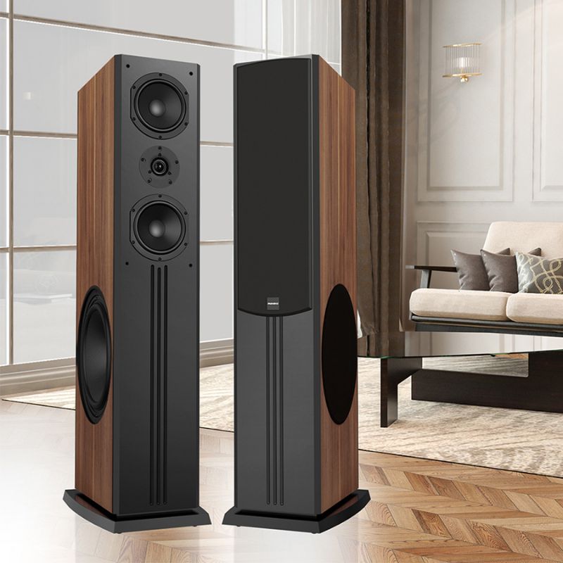 Loa Đứng Paramax D88 Limited (Walnut) 5 Ảnh Loa Đứng Paramax D88 Limited (Walnut)