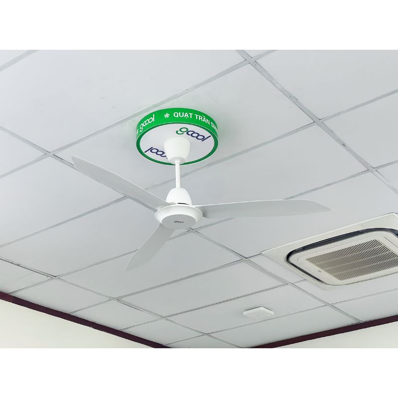 Quạt trần Gcool Copter 03 R VN011402307 Trắng 3 Ảnh thực tế quạt trần Gcool Copter 03 R VN011402307 Trắng