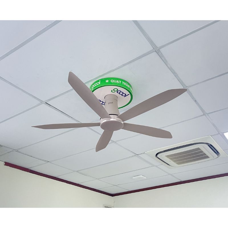 Quạt trần Gcool Copter 05 Plus R VN011402521 Nâu 4 Ảnh thực tế quạt trần Gcool Copter 05 Plus R VN011402521 Nâu
