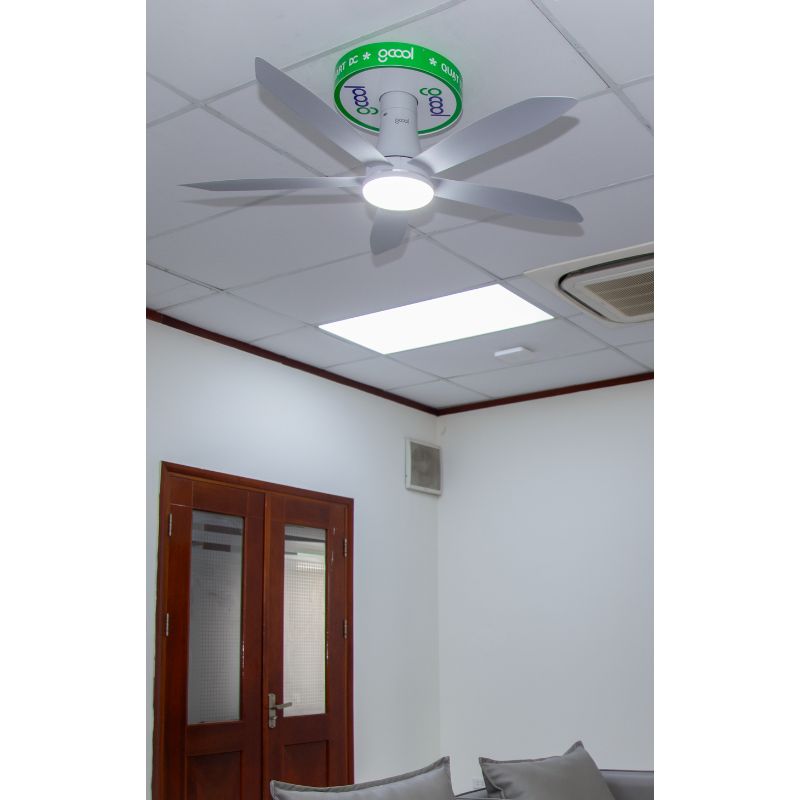 Quạt trần Gcool Copter 05 Plus RL VN011402517 Ghi Bạc 5 Ảnh thực tế quạt trần Gcool Copter 05 Plus RL VN011402517 Ghi Bạc