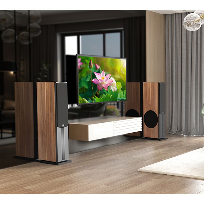 Loa Đứng Paramax D88 Limited (Walnut) 4 Hình ảnh Loa Đứng Paramax D88 Limited (Walnut)