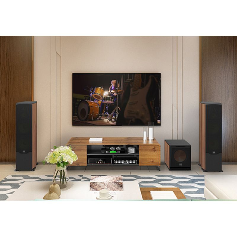 Loa Nghe Nhạc và Karaoke Hi-Fi Paramax EURO 1002 Limited (Walnut) 5 Hình ảnh Loa Nghe Nhạc và Karaoke Hi-Fi Paramax EURO 1002 Limited (Walnut)
