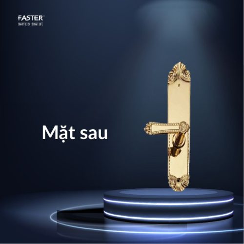 Mặt sau khóa thông minh Faster FS119-24K APP