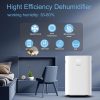 Máy hút ẩm Steiger STG - 820DW 1 Máy hút ẩm Steiger STG - 820DW