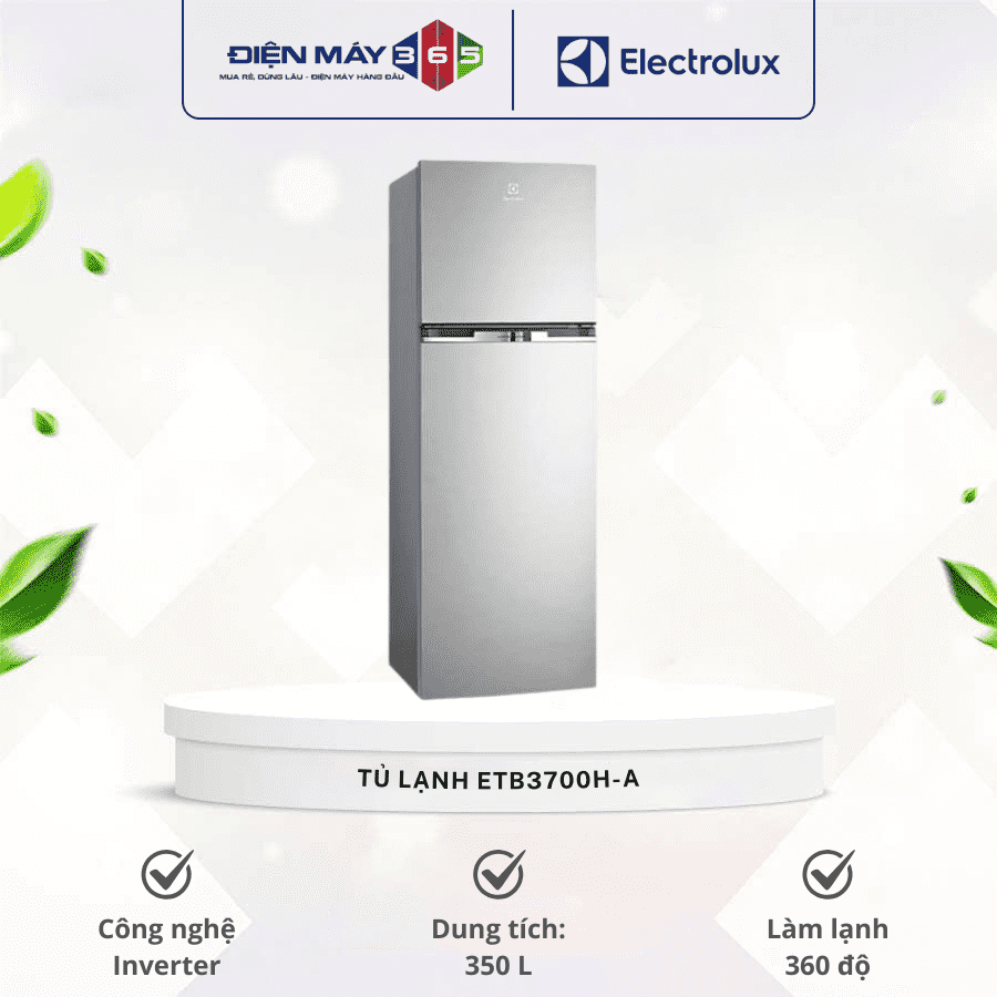 Tủ lạnh Electrolux ETB3700H-A 3 Tủ lạnh Electrolux ETB3700H-A