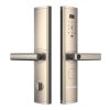 HB CG61 Champagne Gold1