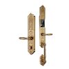 HB DS79 Gold1