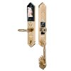 HB DS79F Gold1