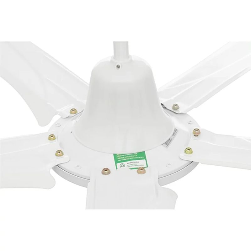 Quạt trần Rapido RCF-5W 4 Ảnh quạt trần Rapido RCF-5W