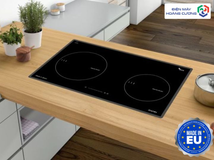 Nguồn gốc, xuất xứ của bếp từ đôi