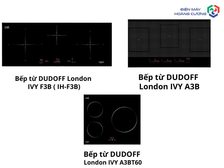 Bếp từ Dudoff đa dạng sản phẩm