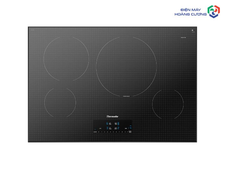Bếp từ CIT304YM