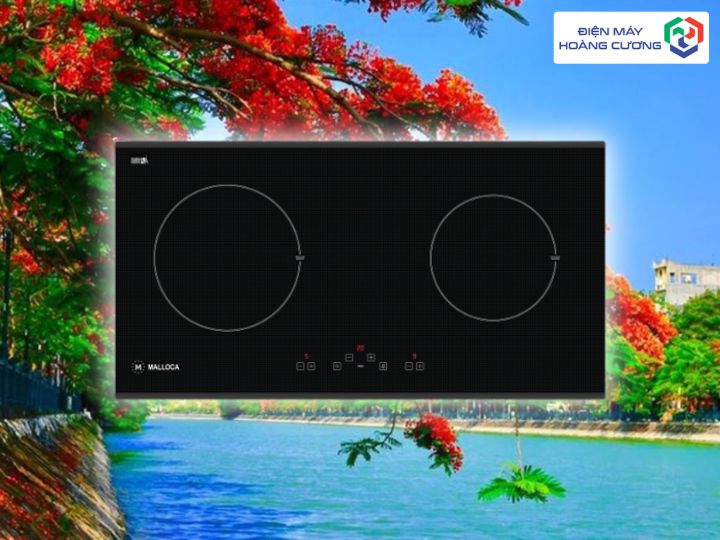 13+ Địa Chỉ Mua Bếp Từ Malloca Uy Tín Tại Hải Phòng, 7 Lựa Chọn Thông Minh, Tiết Kiệm Điện Cho Gia Đình 1 Địa Chỉ Mua Bếp Từ Malloca Uy Tín Tại Hải Phòng