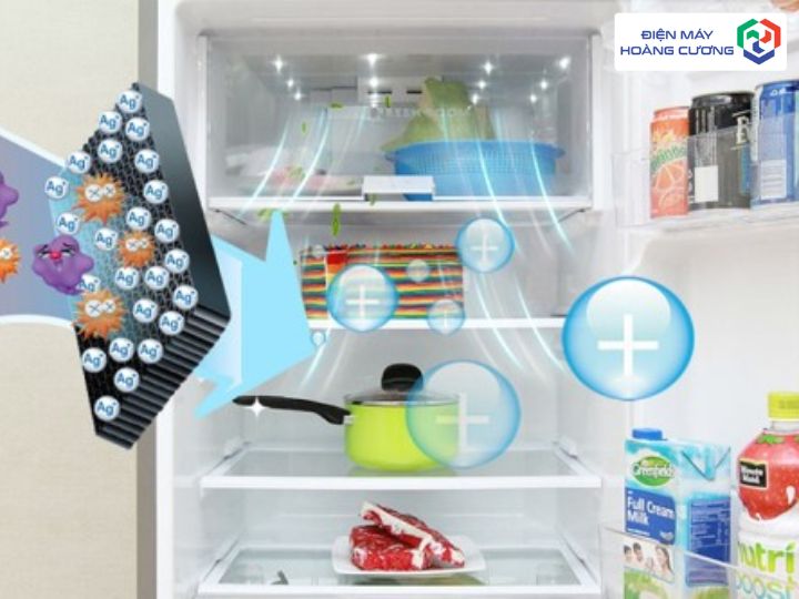 15+ Địa Chỉ Mua Tủ Lạnh Hafele Uy Tín Tại Khánh Hòa, Giải Pháp Bền Bỉ Cho Gia Đình Phố Biển 2 Lưới lọc tủ lạnh Hafele