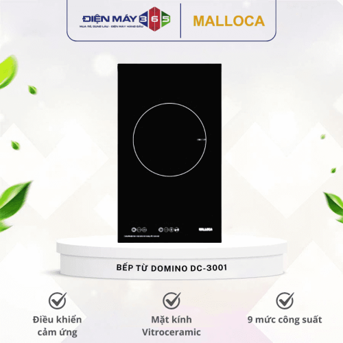 BẾP TỪ DOMINO MALLOCA DC-3001