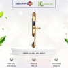 khoa cua van tay dai sanh kassler kl 979 gold optimized